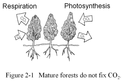 figure 2-1